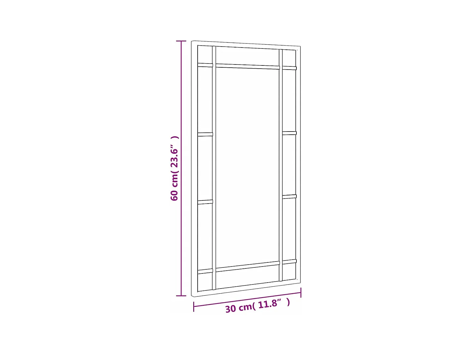 Zwarte wandspiegel 30x60 cm rechthoekig ijzer