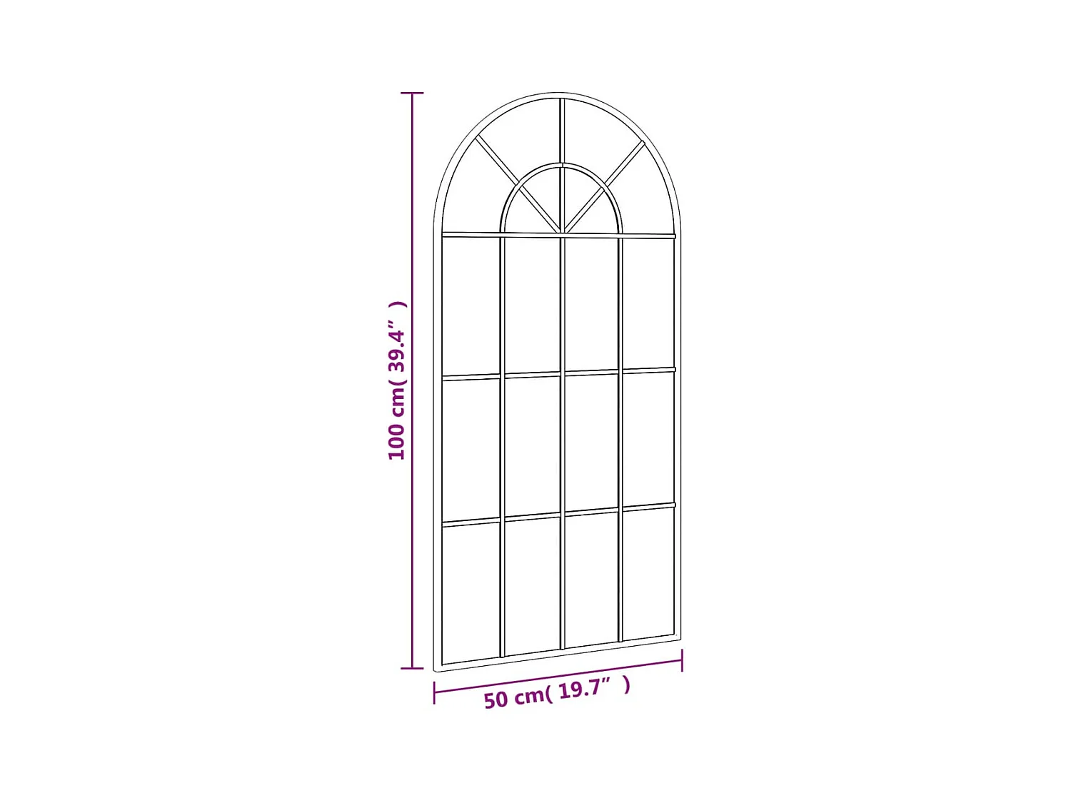 Zwarte wandspiegel 50x100 cm ijzeren boog