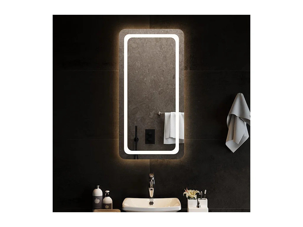Miroir de salle de bain à LED 50x100 cm