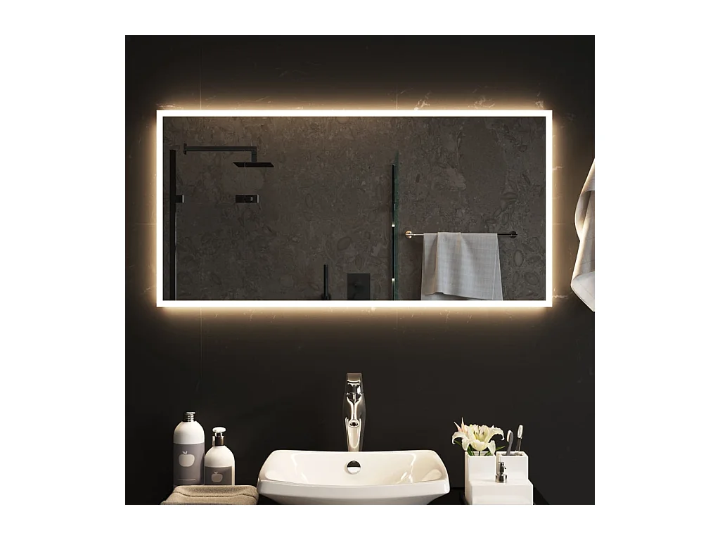 Miroir de salle de bain à LED 50x100 cm