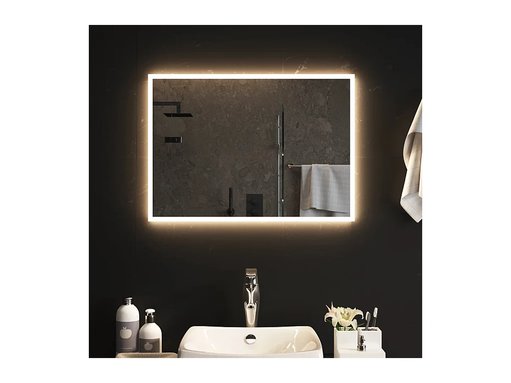 Miroir de salle de bain à LED 50x70 cm
