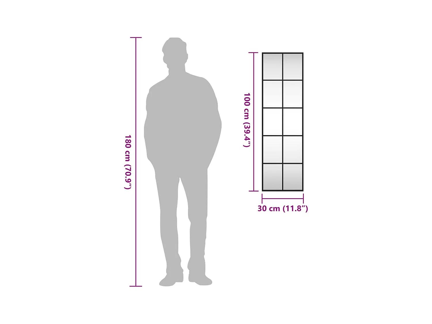 Zwarte wandspiegel 30x100 cm rechthoekig ijzer