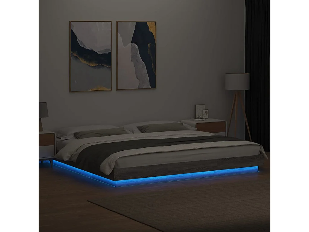 Lit double | Lit adulte | Cadre de lit et lumières LED sonoma gris 200x200cm