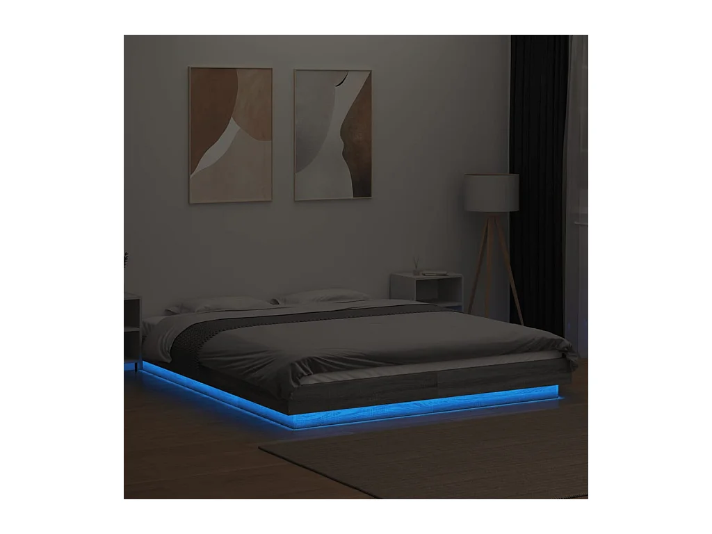 Lit double | Lit adulte | Cadre de lit et lumières LED sonoma gris 160x200cm