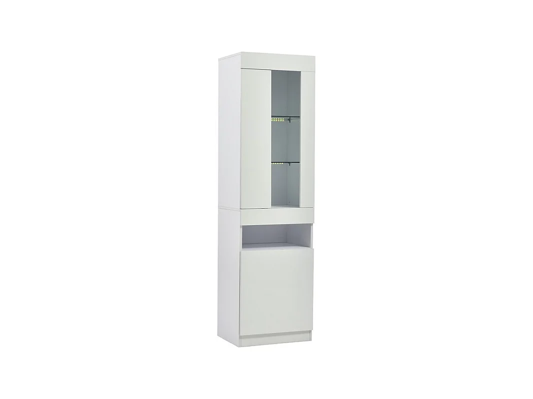 Vitrine avec éclairage LED 16 couleurs et Bluetooth - 2 portes et 1niche - panneau de particules - 50x40x180cm