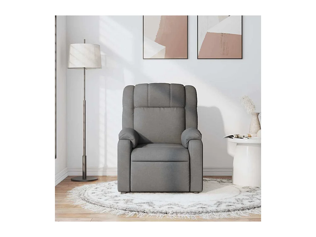 Sillón de salón | Silla | Sillón de masaje reclinable de tela gris oscuro SHL7778