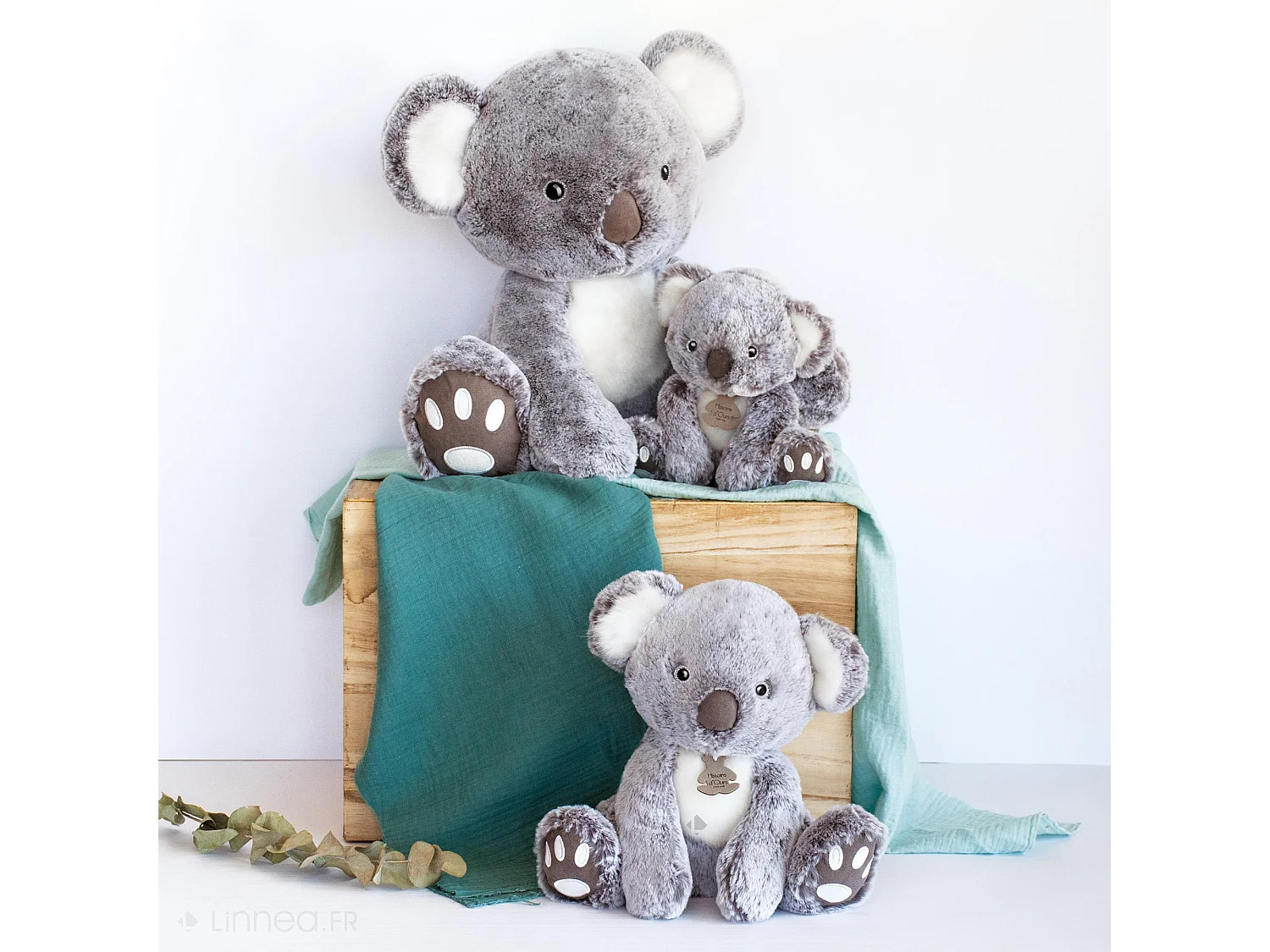 Peluche koala 18 cm DANS LA FORET TROPICALE gris
