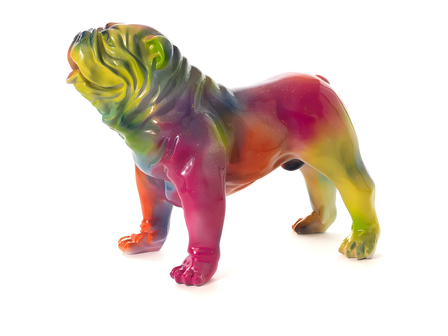 Bulldog USA Rainbow M