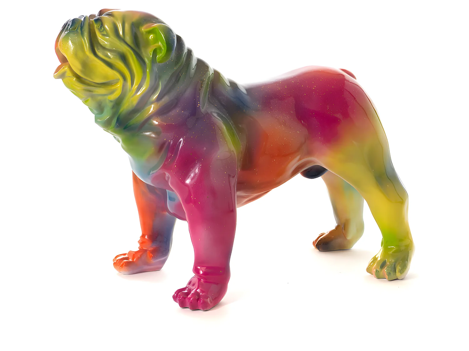 Bulldog USA Rainbow M