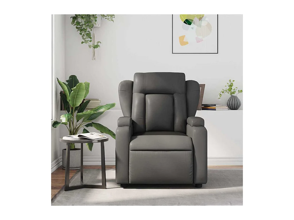 Sillón de salón | Silla | Sillón de masaje reclinable cuero sintético gris SHL7277
