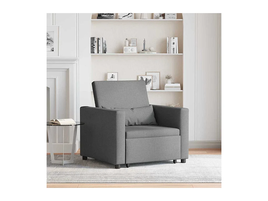 Sofá Cama Individual Gris oscuro 90x165x87 cm tela SHL8596