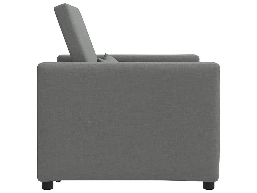 Poltrona Salotto | Divano letto estraibile singolo Grigio scuro 90x165x87cm SHL1233