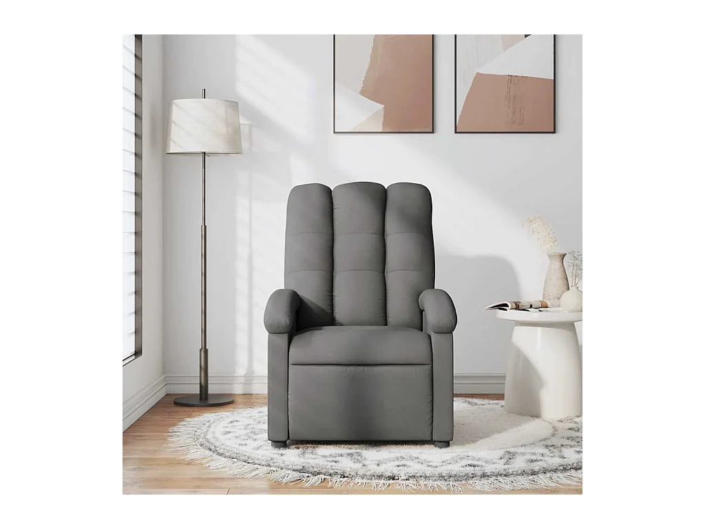 Sillón de salón | Silla | Sillón de masaje reclinable de tela gris oscuro SHL6241