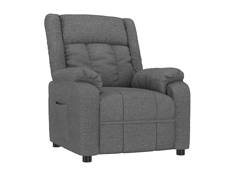 Fauteuil inclinable-Fauteuil de salon Gris foncé Tissu SHL1154