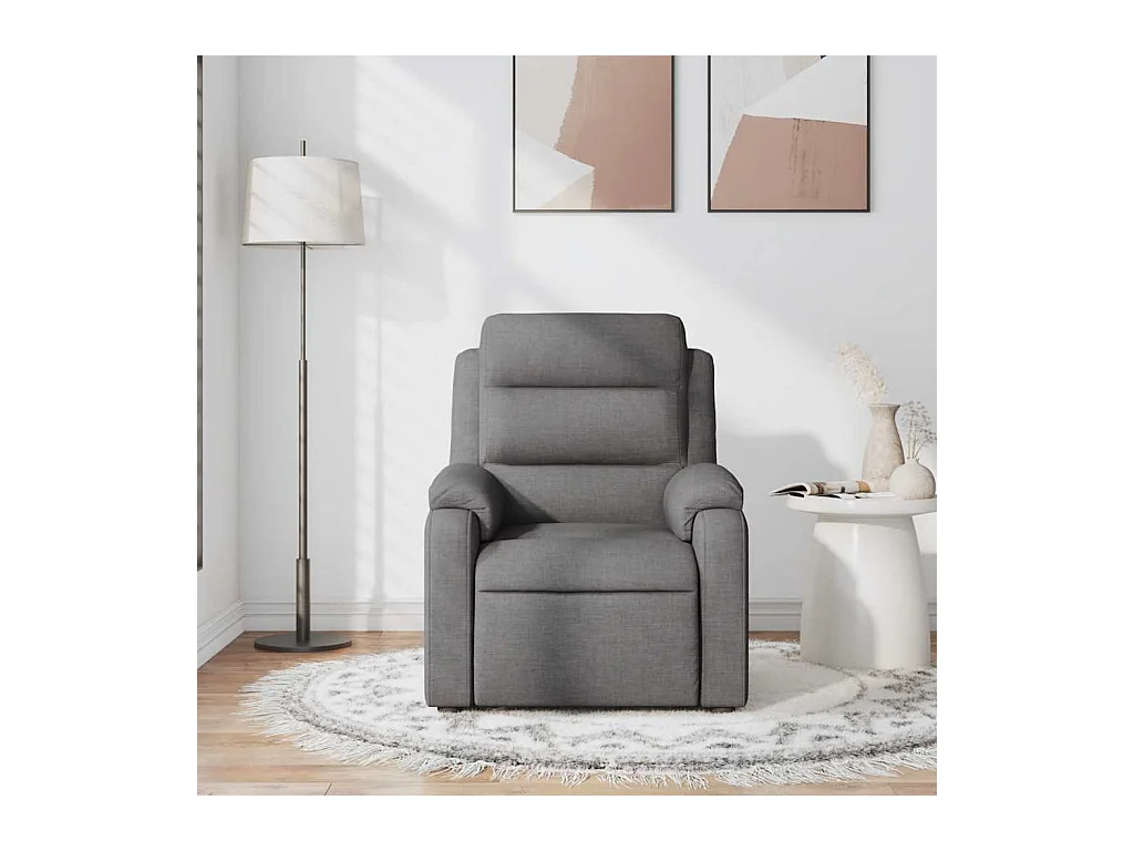 Sillón de salón | Silla | Sillón de masaje reclinable de tela gris oscuro SHL6555