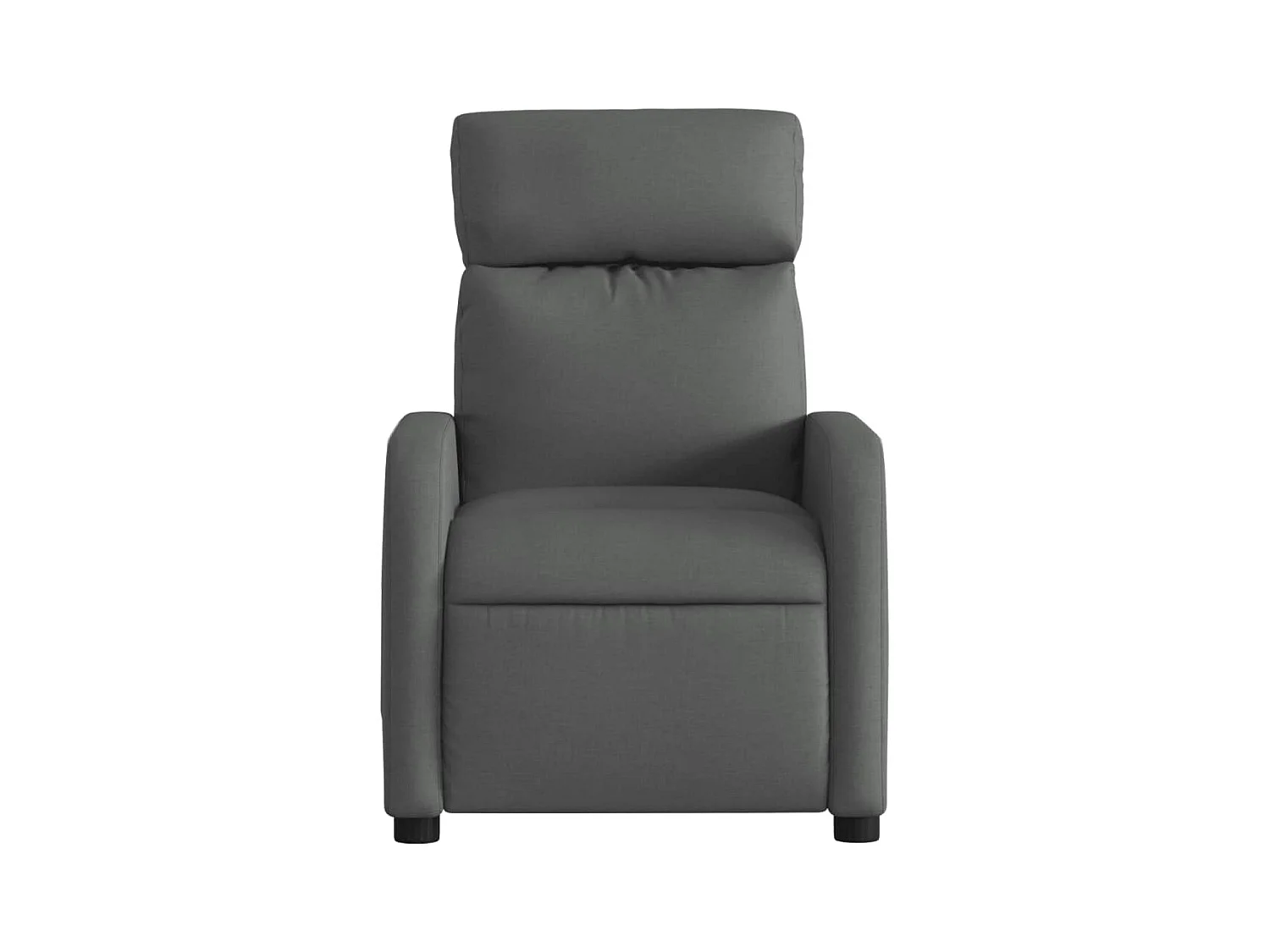 Sillón de salón | Silla | Sillón de masaje reclinable de tela gris oscuro SHL5683