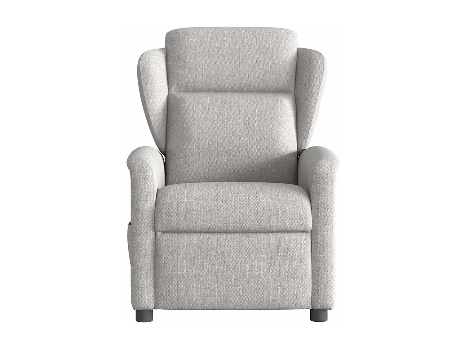 Sillón de salón | Silla | Sillón de masaje reclinable de tela gris nube SHL8783