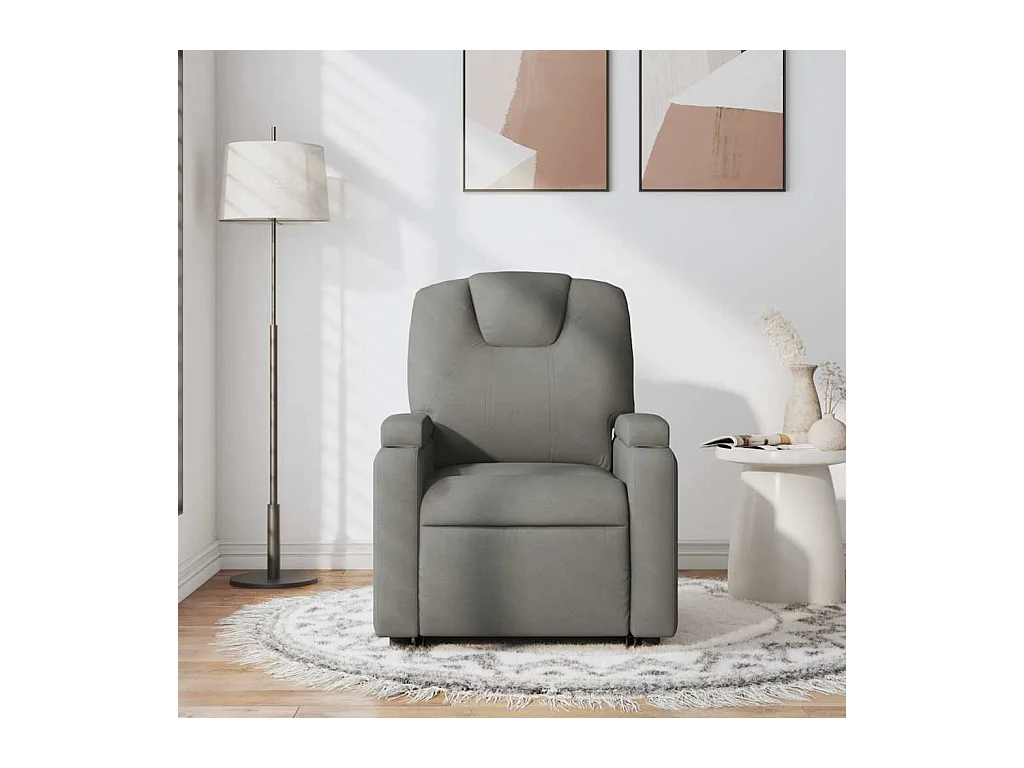 Sillón de salón | Silla | Sillón de masaje reclinable de tela gris oscuro SHL4060