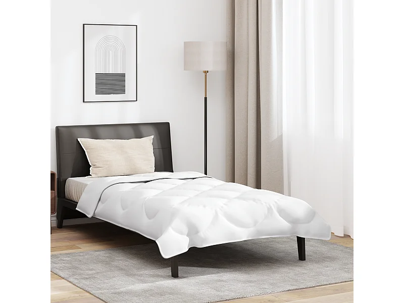 Duvet avec Oreiller | Ensemble de literie 2 pcs Blanc 135 x 200 cm Microfibre