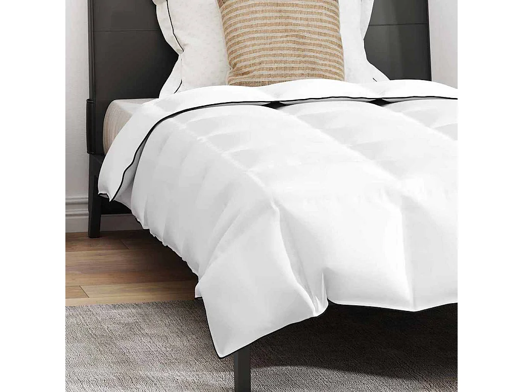 Ensemble de Duvet avec Oreiller | Ensemble de literie 2 pcs Blanc 150 x 200 cm Bas