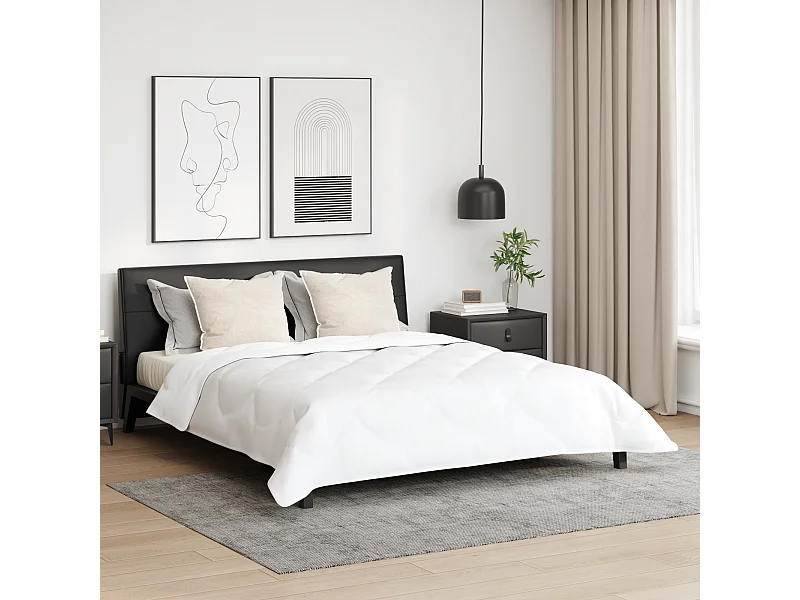 Duvet d'hiver avec Oreiller | Ensemble de literie 3 pcs Blanc 260 x 220 cm Microfibre