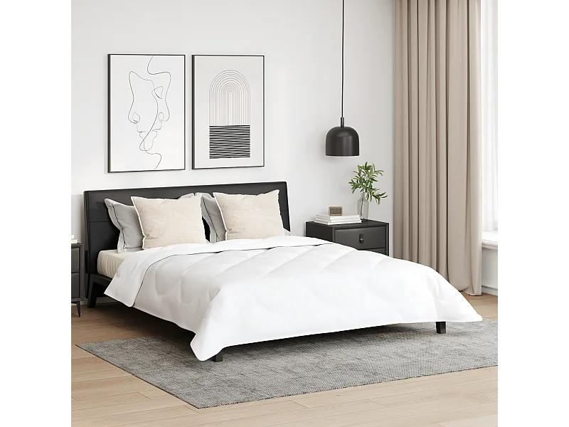 Duvet d'hiver avec Oreiller | Ensemble de literie 3 pcs Blanc 240 x 220 cm Microfibre