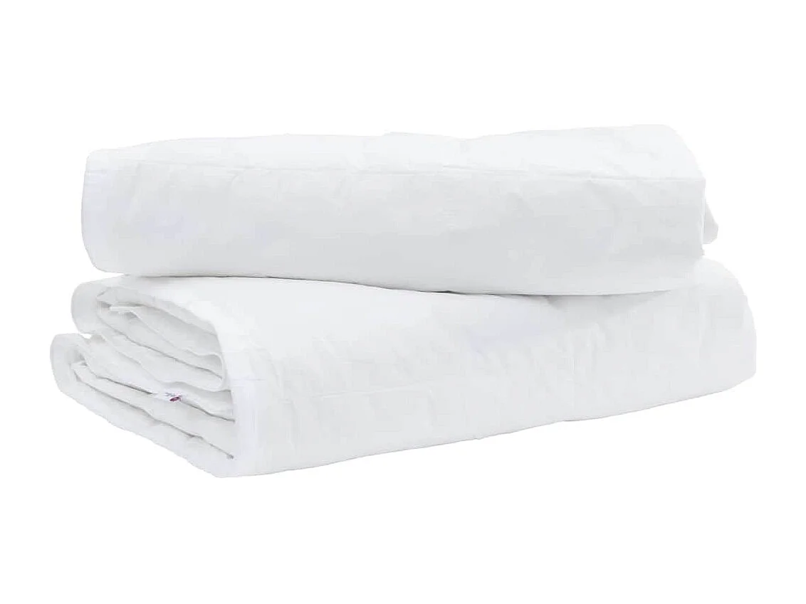 Ensemble de Couette avec oreiller 2 pcs Duvets | Couverture Blanc 135 x 220 cm Bas