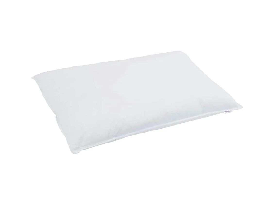 Ensemble de Couette avec oreiller 2 pcs Duvets | Couverture Blanc 135 x 220 cm Bas