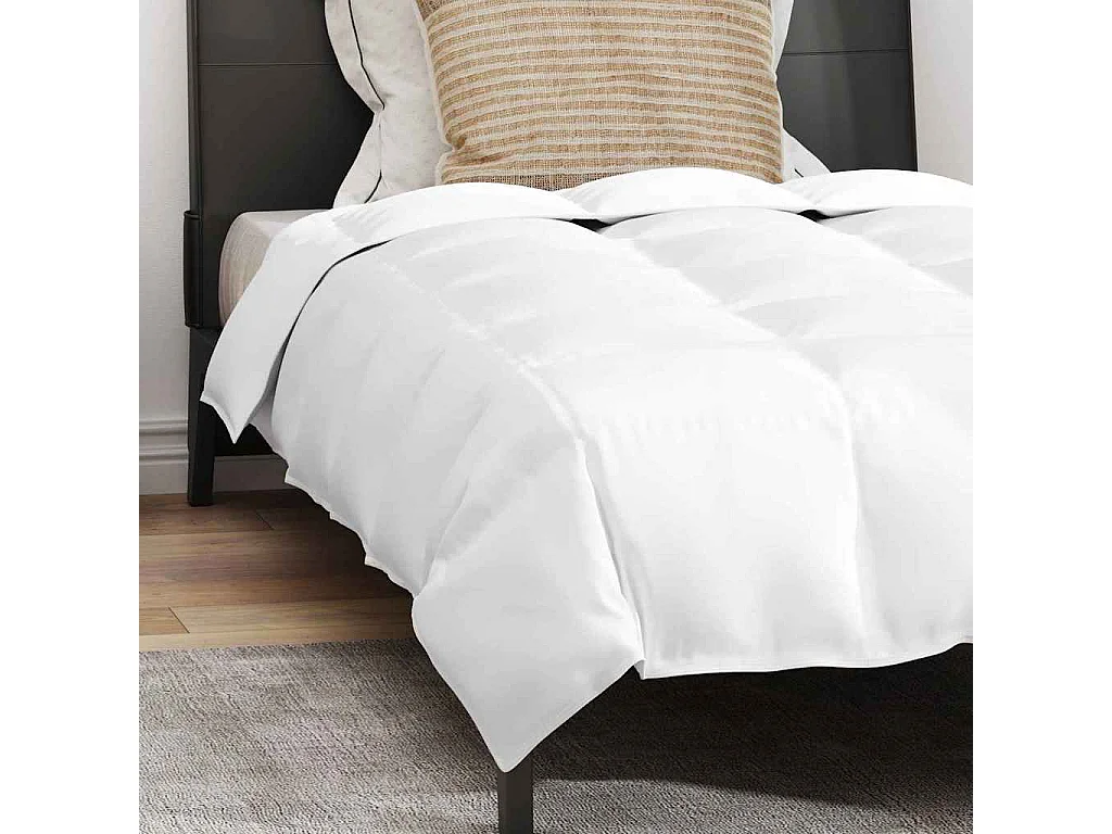 Ensemble de Couette avec oreiller 2 pcs Duvets | Couverture Blanc 135 x 200 cm Bas