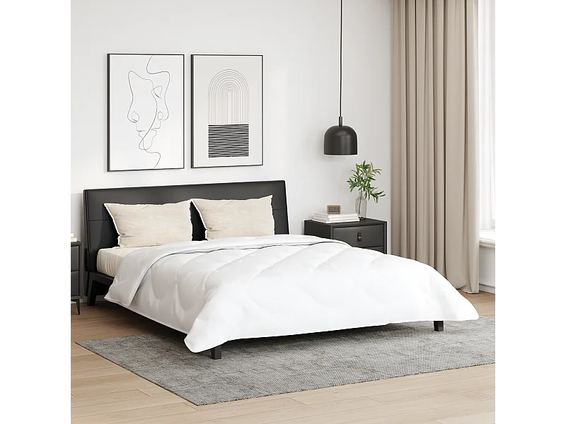 Couette | Duvet | Couverture avec oreiller 3 pcs Blanc 260 x 220 cm Microfibre