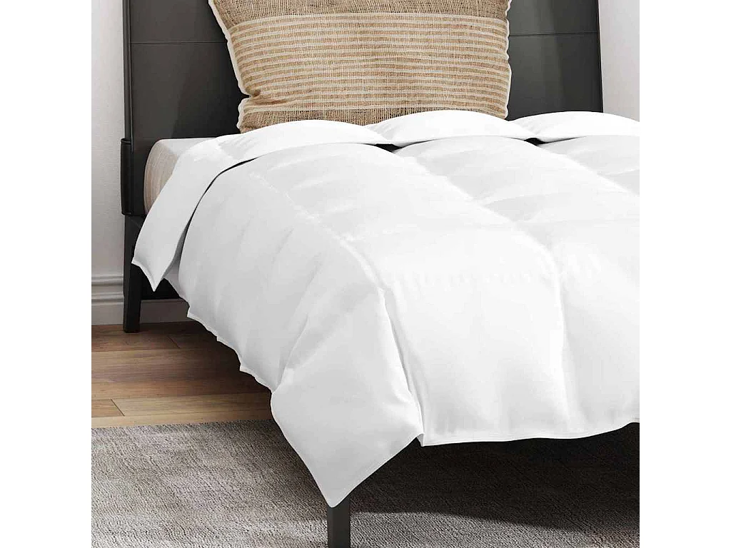 Ensemble de Couette avec oreiller 2 pcs Duvets | Couverture Blanc 135 x 200 cm Bas