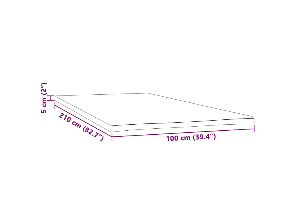 Surmatelas  | Coussin de Matelas 100x210x5 cm