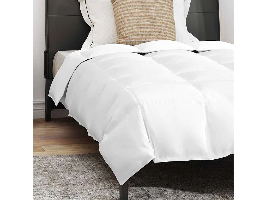 Ensemble de Couette avec oreiller 2 pcs Duvets | Couverture Blanc 140 x 220 cm Bas