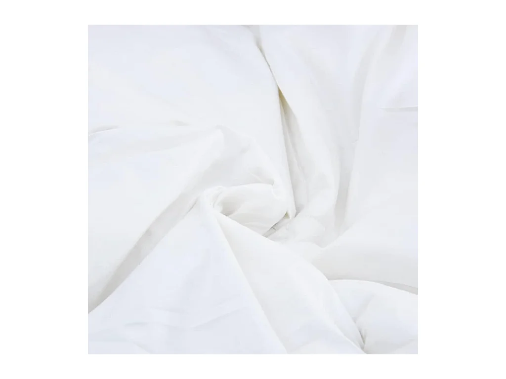 Ensemble de Couette avec oreiller 2 pcs Duvets | Couverture Blanc 140 x 220 cm Bas