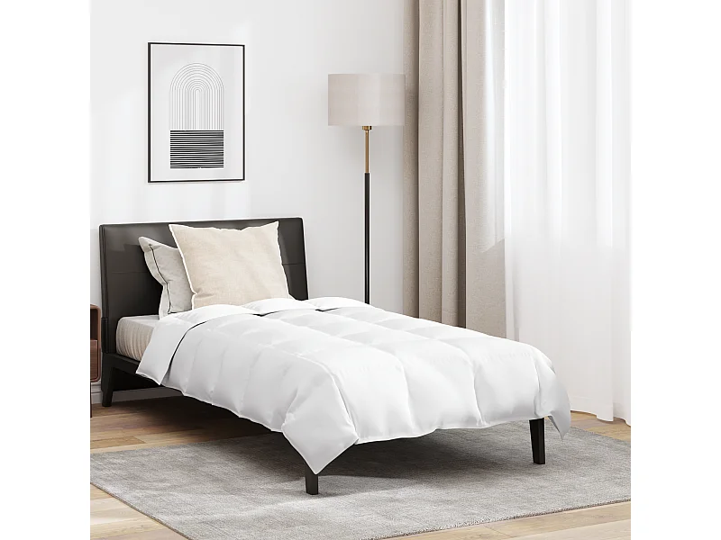 Ensemble de Couette avec oreiller 2 pcs Duvets | Couverture Blanc 140 x 200 cm Bas