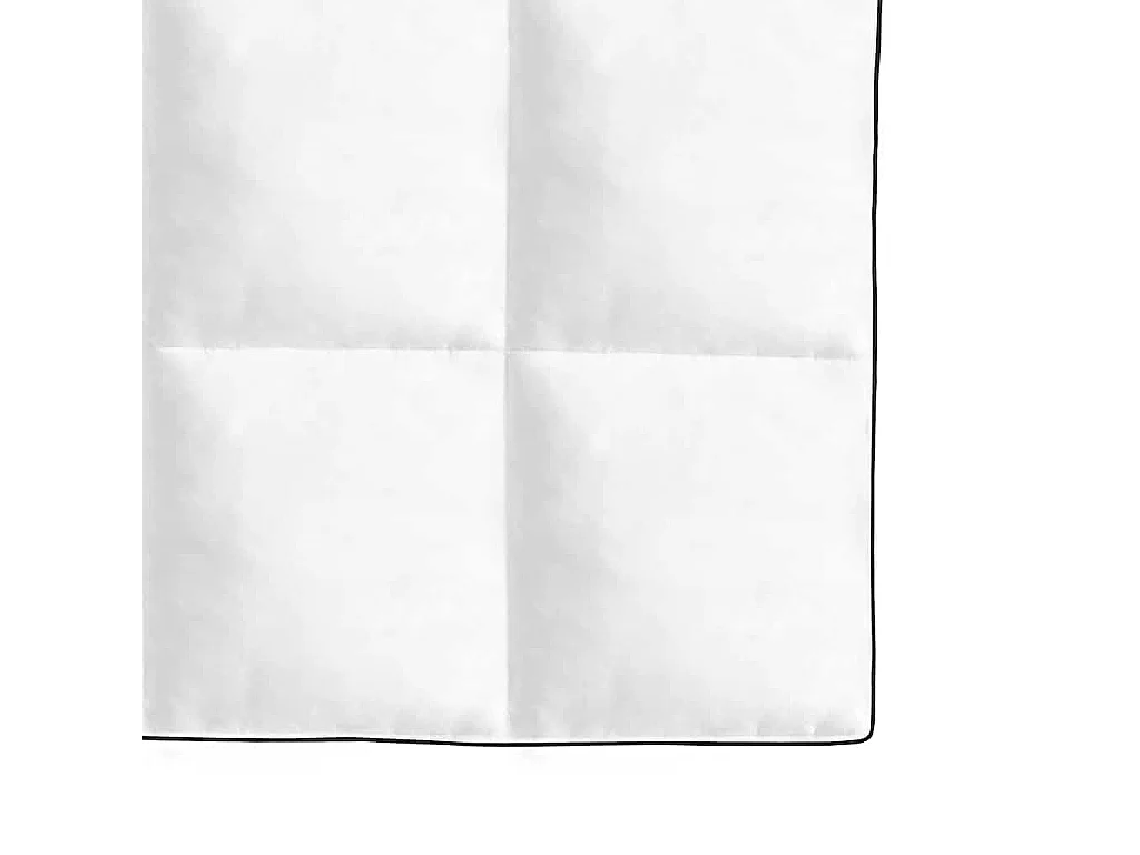 Couette | Duvet | Couverture en duvet d'hiver 2 pcs 140 x 200 cm