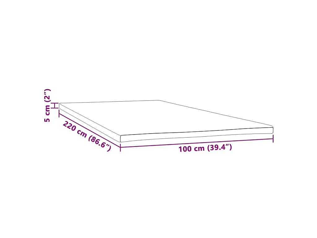 Surmatelas  | Coussin de Matelas 100x220x5 cm