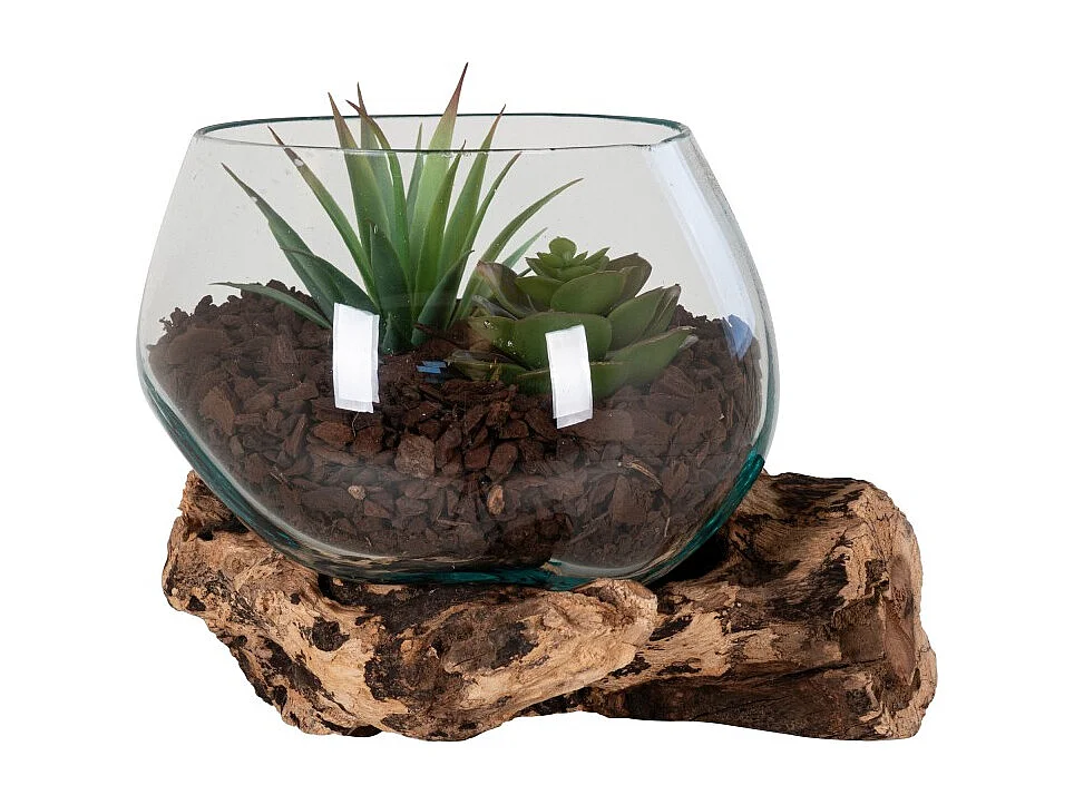 Jarrón sobre rama de madera en vidrio transparente 15x15x15 cm