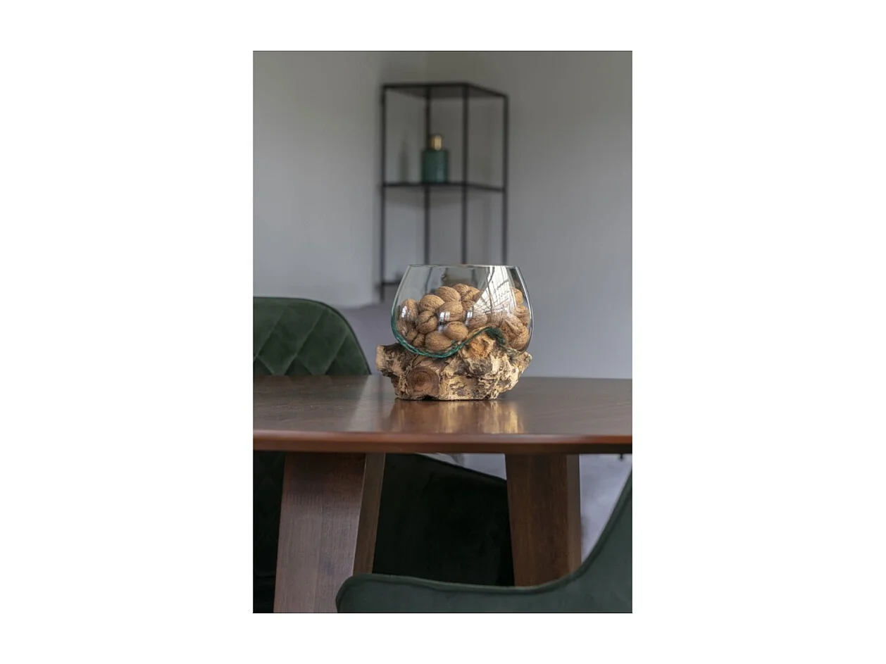 Jarrón sobre rama de madera en vidrio transparente 15x15x15 cm