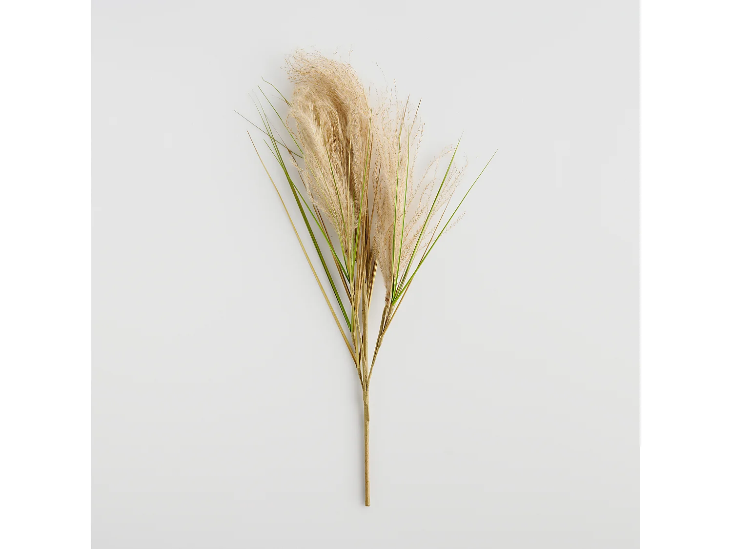 Blume Devole 13.5 x 39 x 70 Kunststoff Natürliches Material