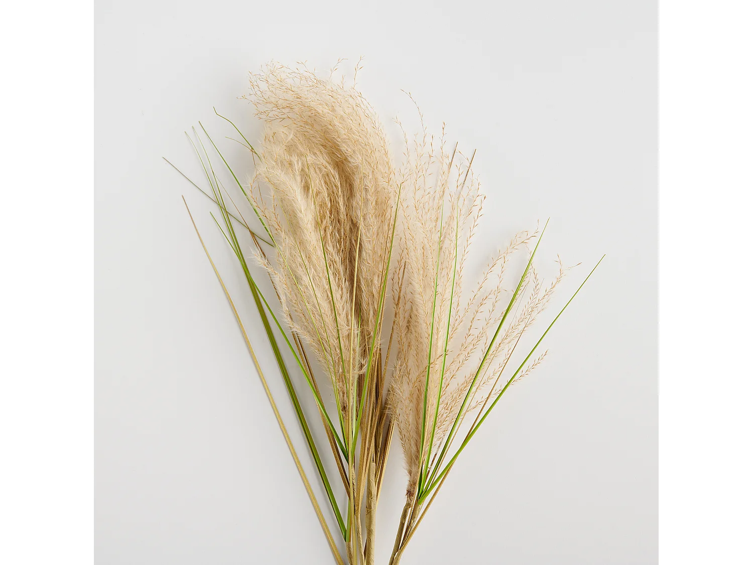 Blume Devole 13.5 x 39 x 70 Kunststoff Natürliches Material