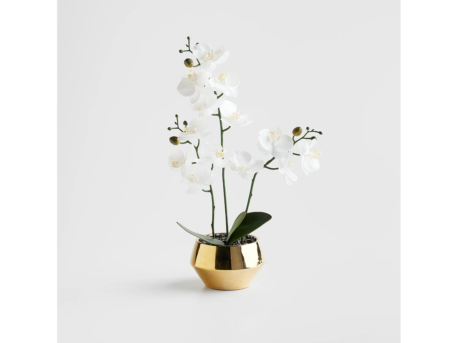 Kunstpflanze Orchitio mittleres Gold 48 x 30