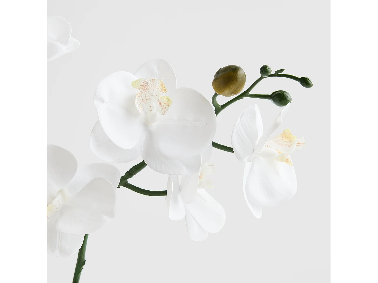 Kunstpflanze Orchitio mittleres Gold 48 x 30