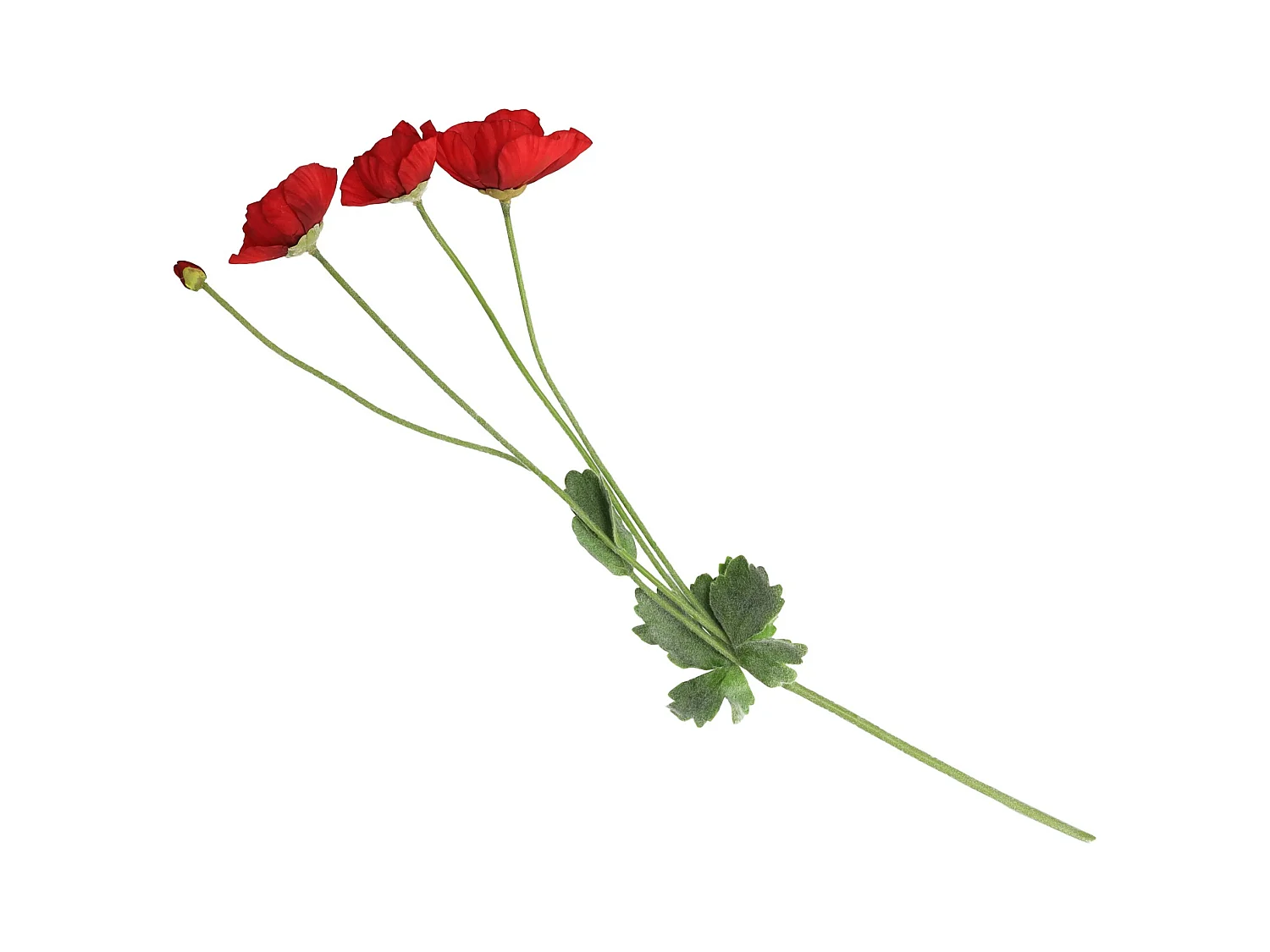 Blume Poppino 5 x 35 x 60 Kunststoff