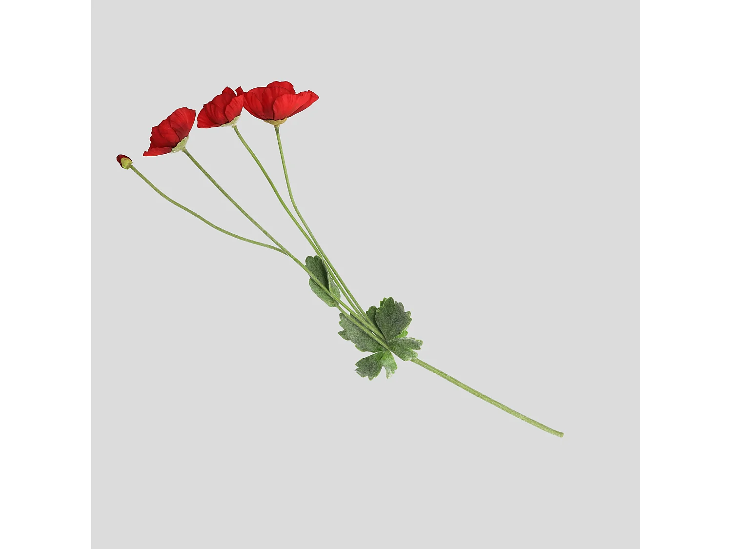 Blume Poppino 5 x 35 x 60 Kunststoff