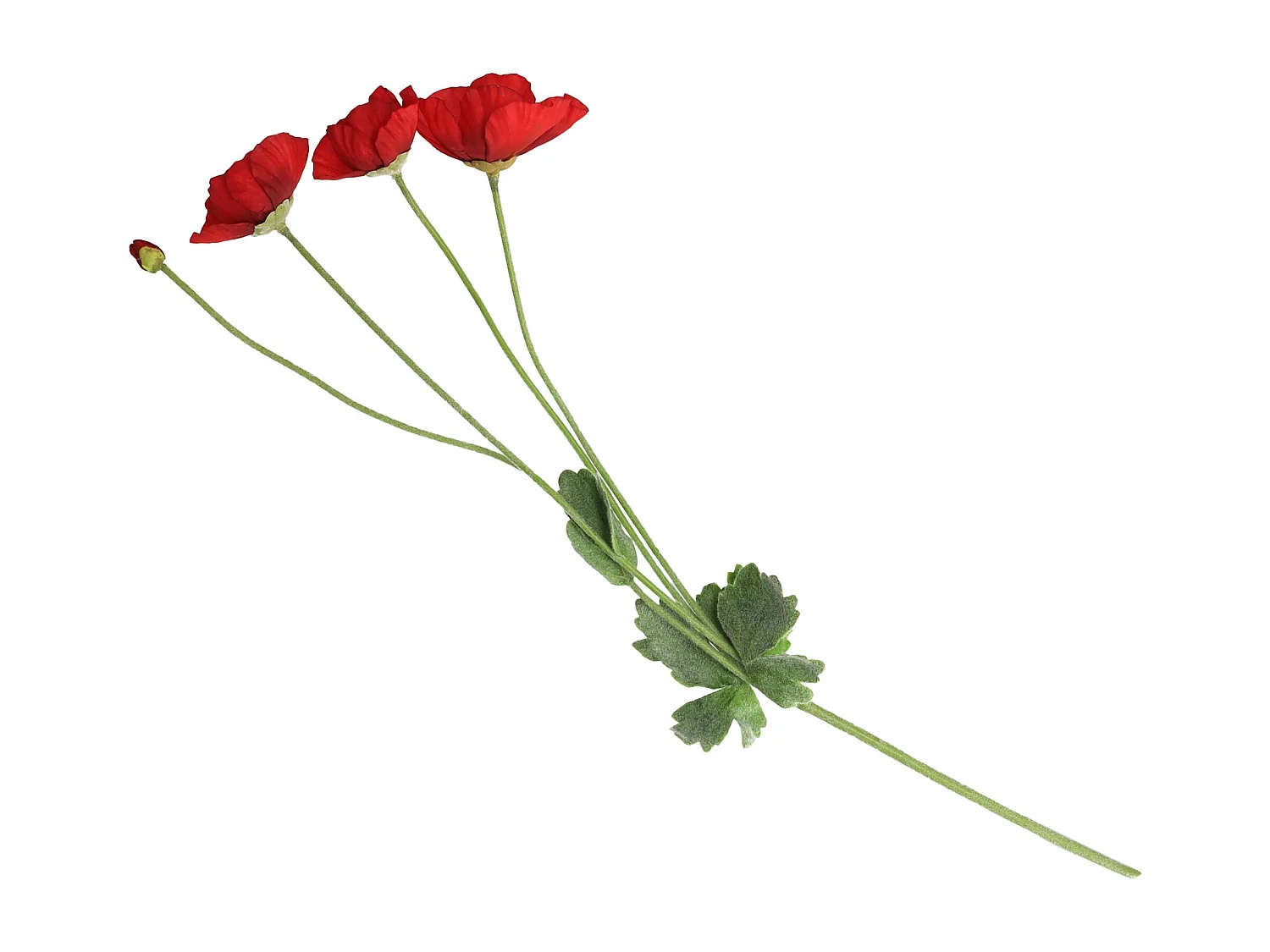 Blume Poppino 5 x 35 x 60 Kunststoff