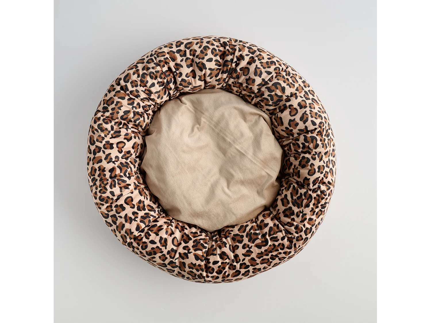 Haustierteppich Lamparto