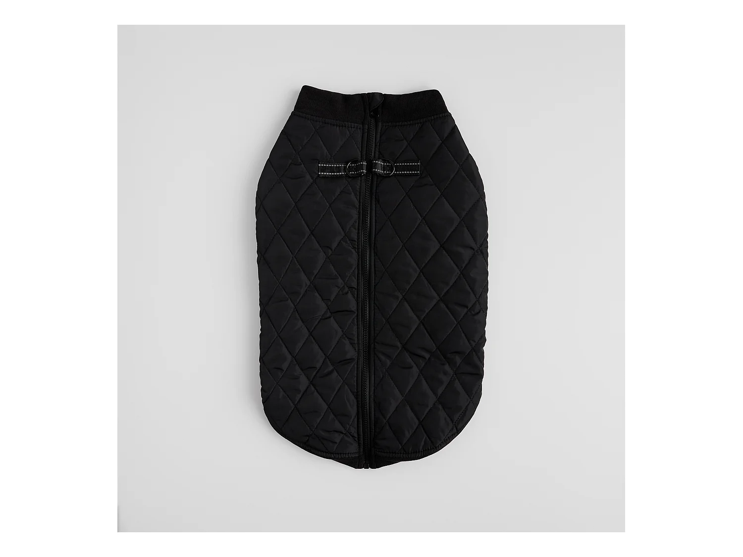 Vêtement Pour Animal Celio 36x57 Polyester