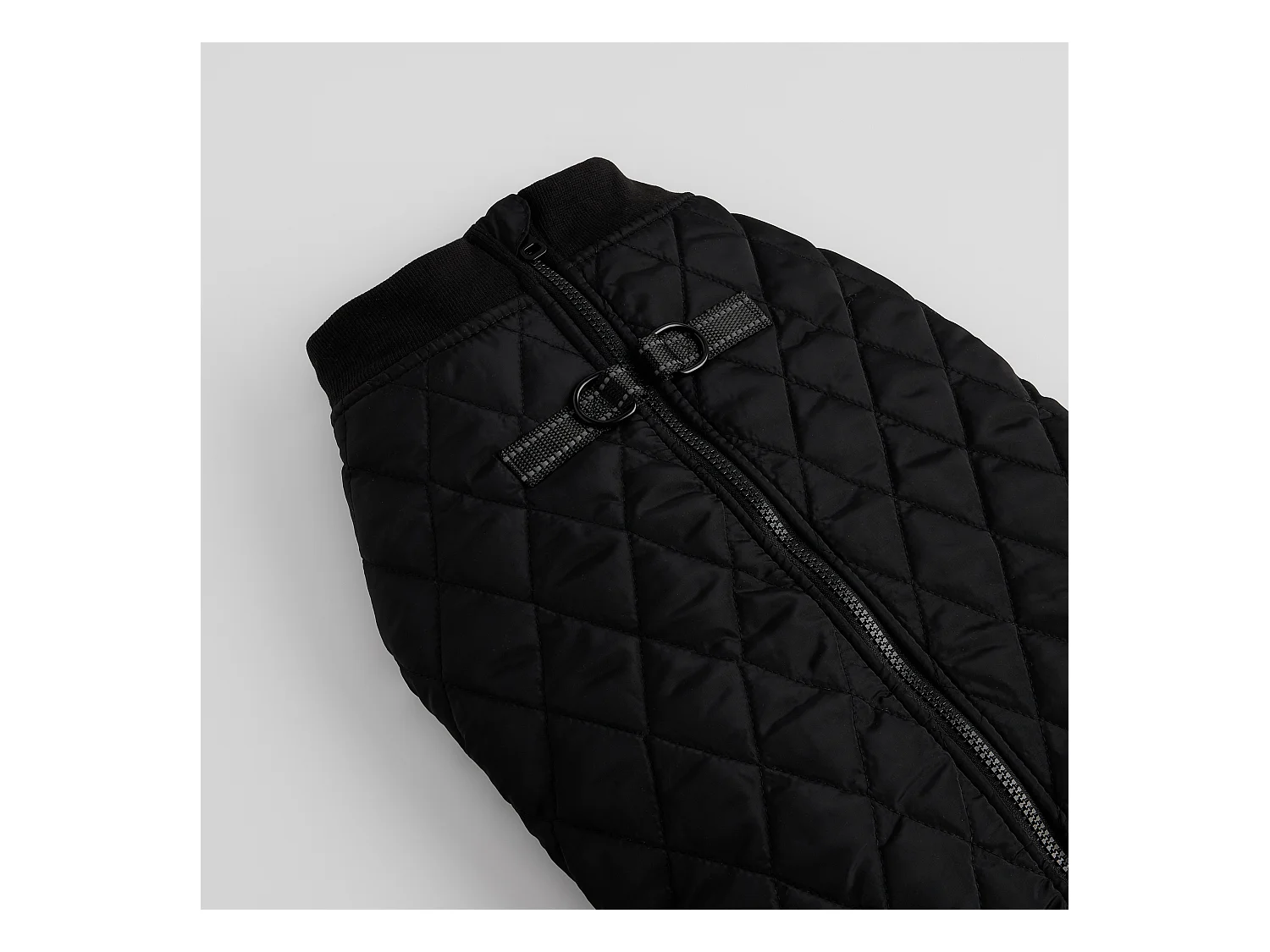 Vêtement Pour Animal Celio 36x57 Polyester