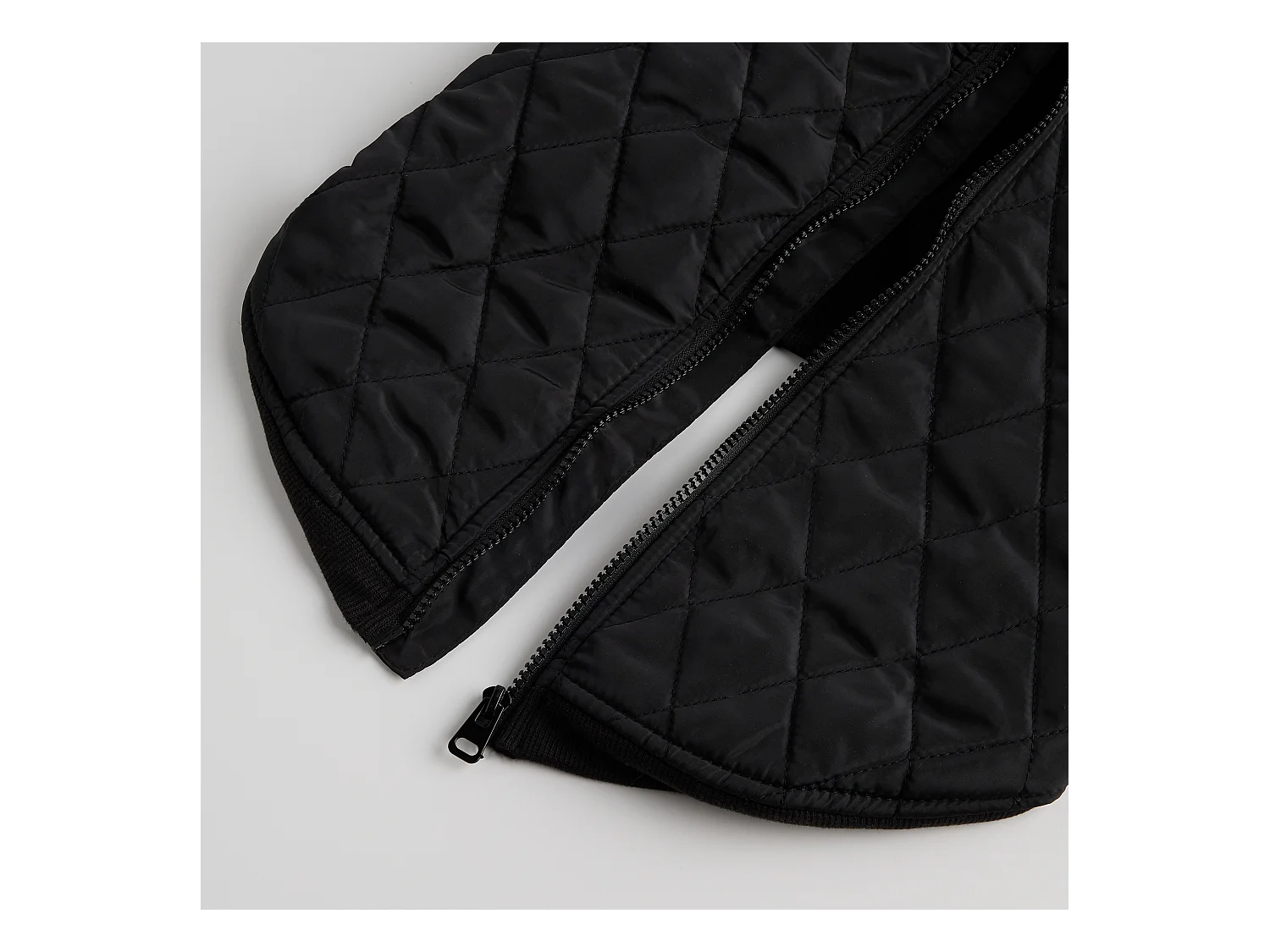 Vêtement Pour Animal Celio 36x57 Polyester